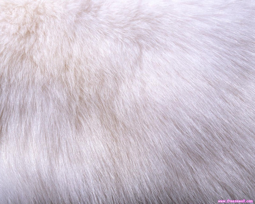 393556 (a): :1280x1024